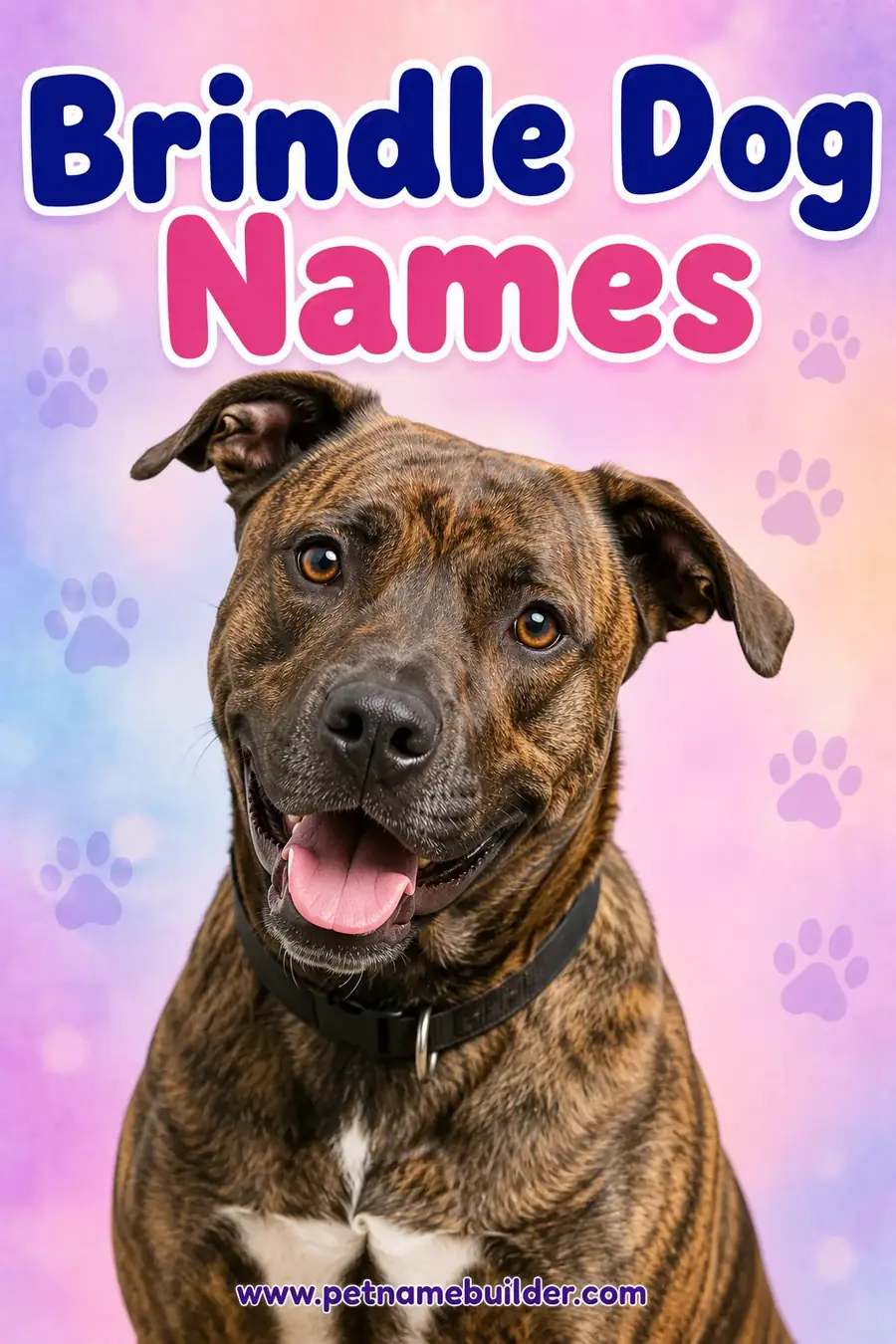 Brindle Dog Names: 100 Unique Ideas for Striped Coats