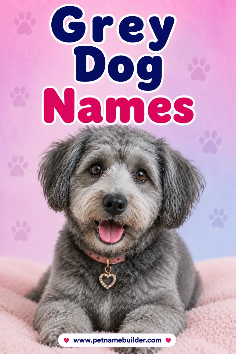Gray Dog Names: 110 Cool, Silver & Smoky Ideas